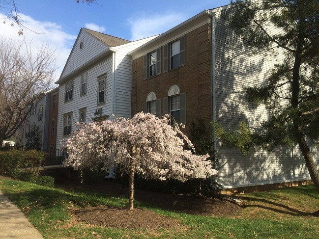 Building Photo - 7753 New Providence Dr