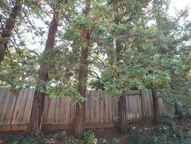 Building Photo - Folsom Willow Creek 3/2.5 $2995