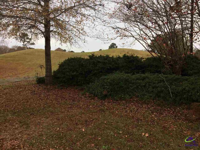 Building Photo - 138 Salem Dr