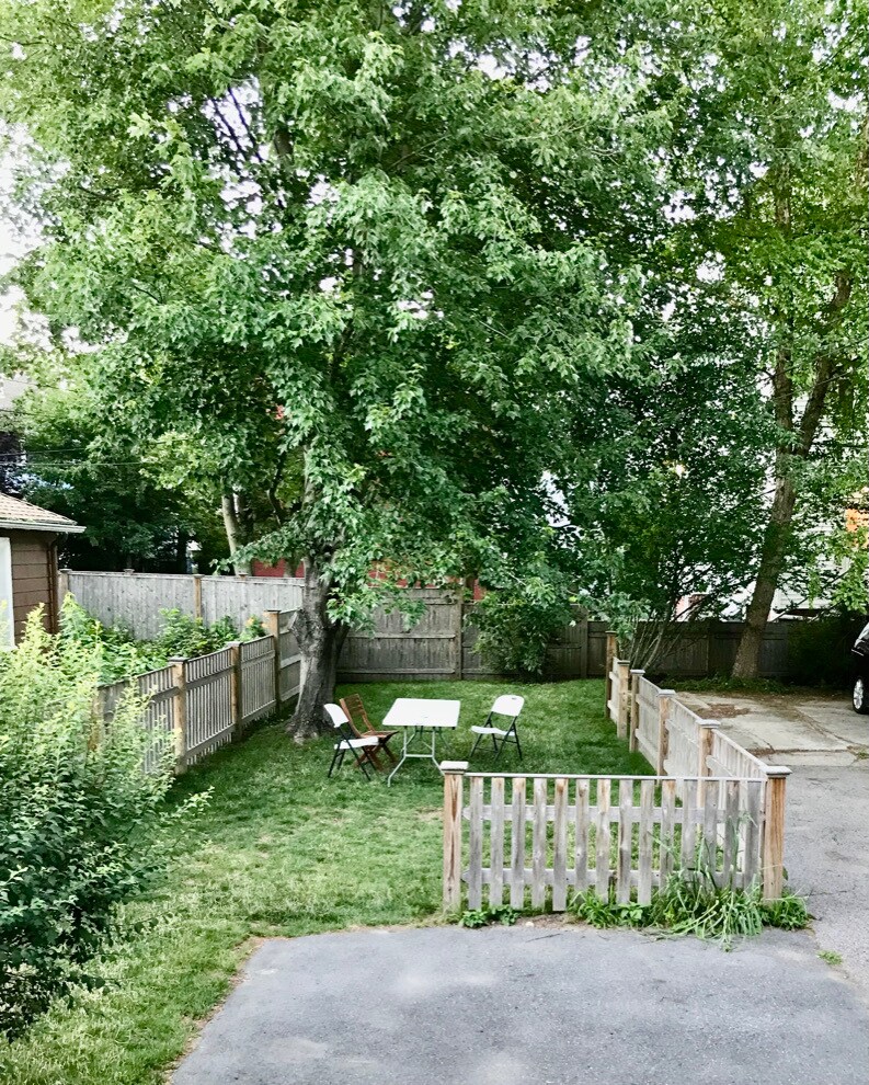 shared back yard - 37 Gorham Ave
