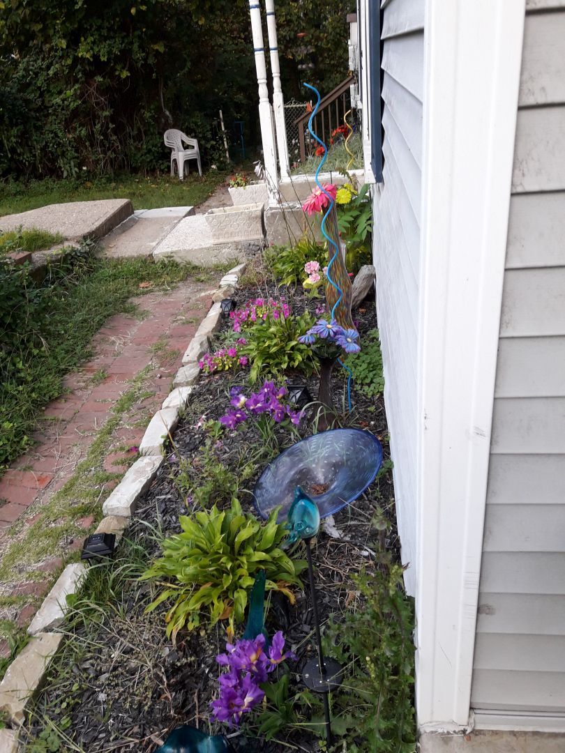 Building Photo - 41 Sylvia Ave