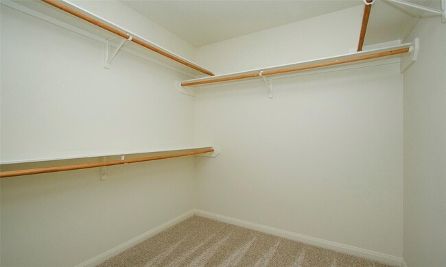 Building Photo - 20559 Iron Seat Dr