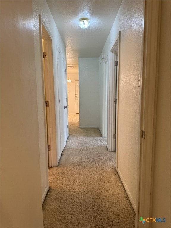 Building Photo - 1306 Chips Dr