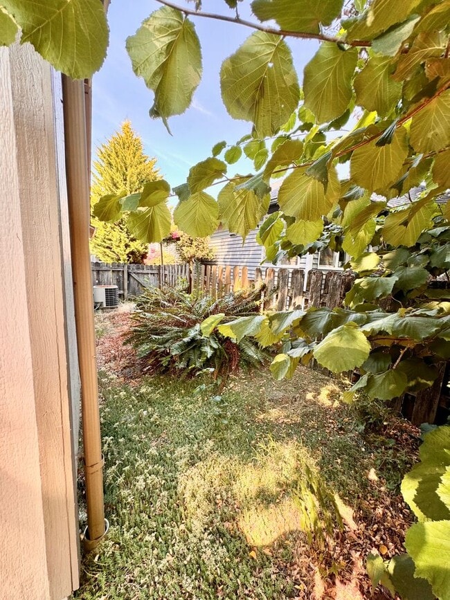 Building Photo - Gorgeous 3 Bed 2 Bath Home Near Shopping and Schools!