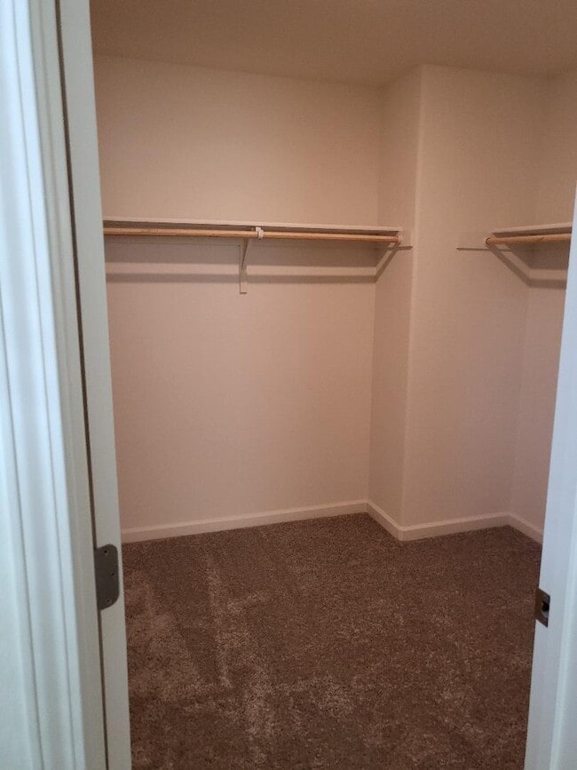 Building Photo - 4902 Bufflehead Ln