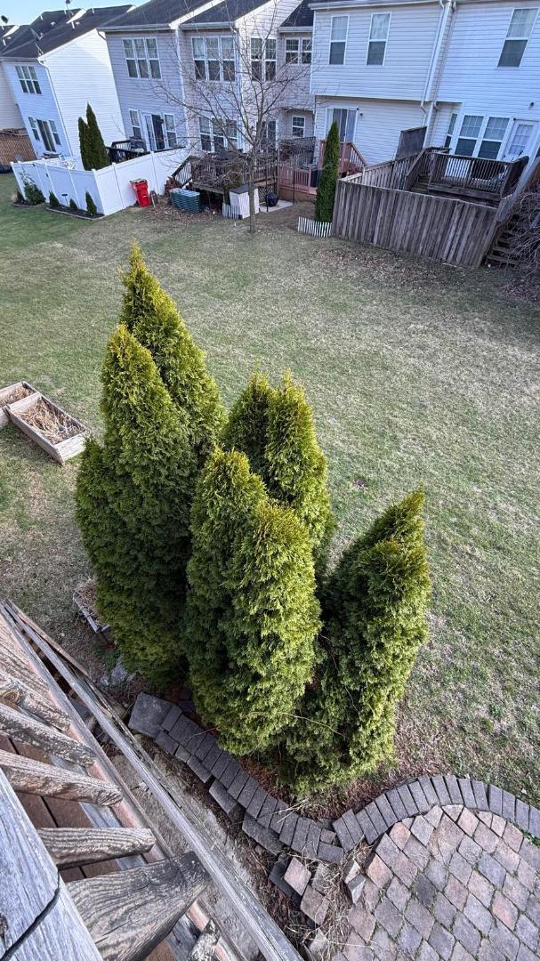 Building Photo - 12 Council Ct