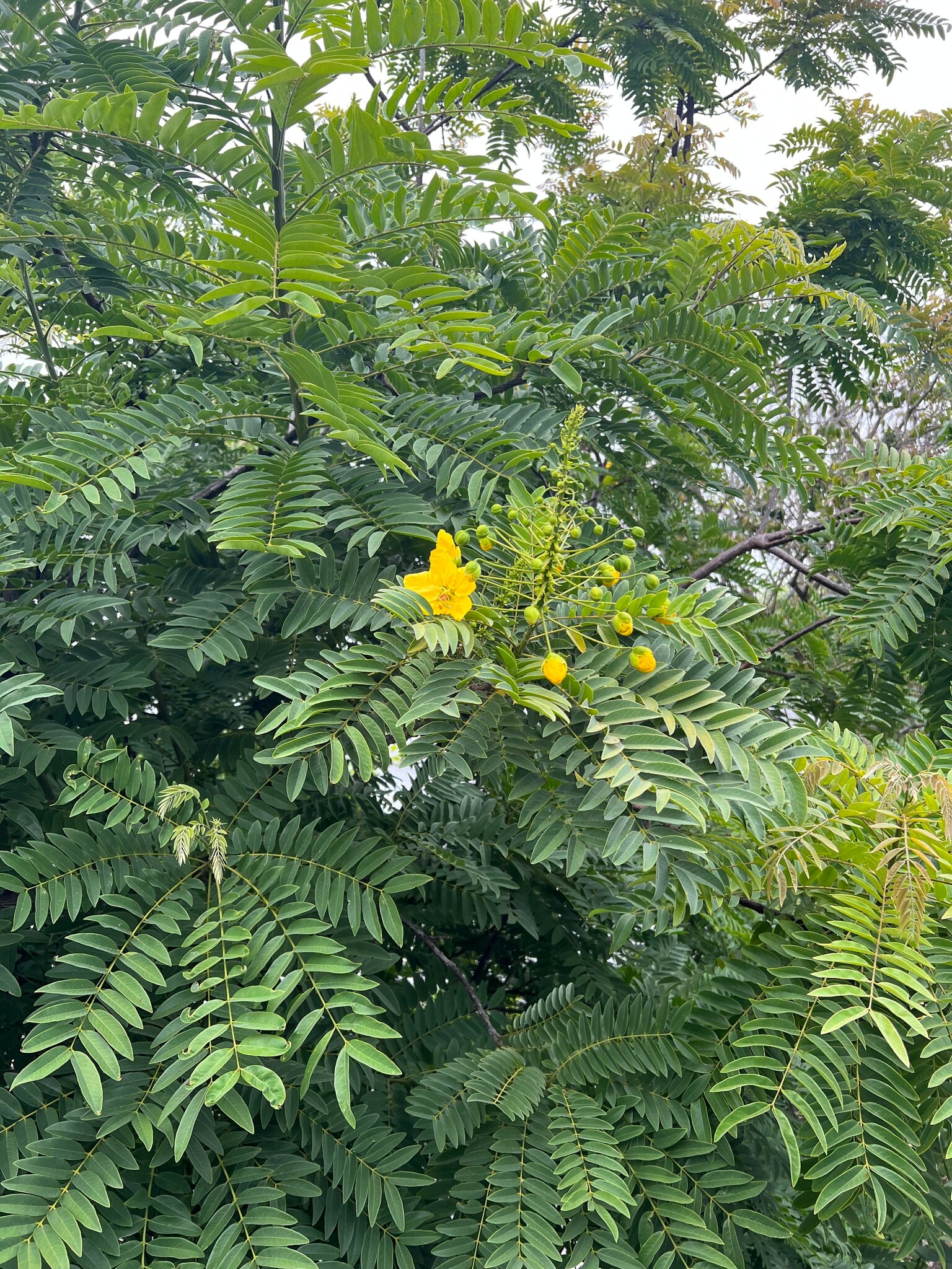 Building Photo - 12 Coach Rd