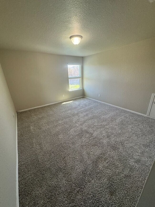 Building Photo - Must See Newly Updated 5/3.5 Home in Alamo...