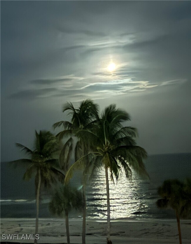 Building Photo - 4005 Gulf Shore Blvd N