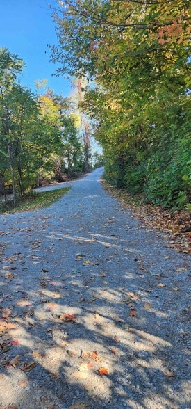 Private Lane toward Street - 231 Lindley Rd