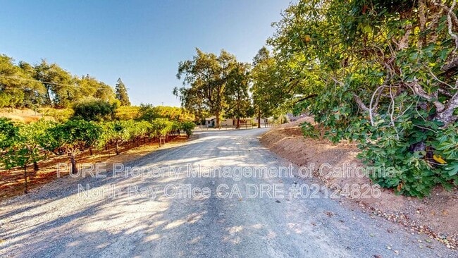 Building Photo - 4939 Dry Creek Rd