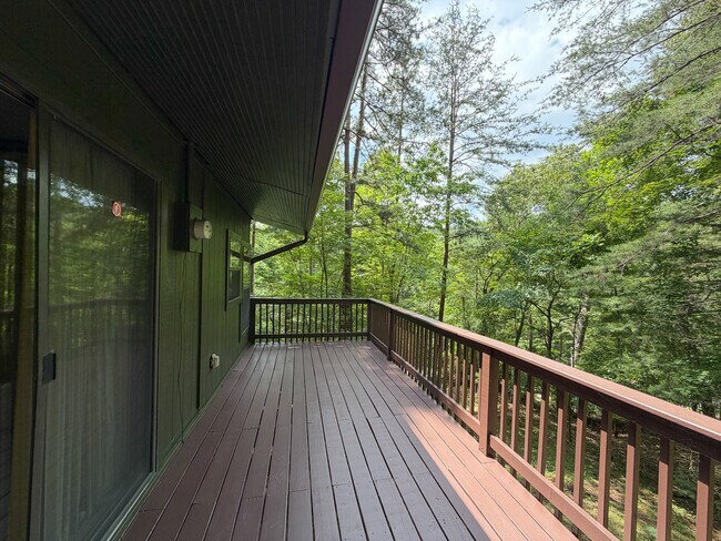 Building Photo - 1253 Tipton Springs Rd