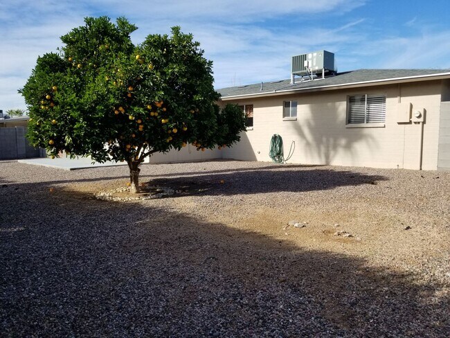 Building Photo - BEAUTIFUL 2 BEDROOM IN DREAMLAND VILLAS 55...