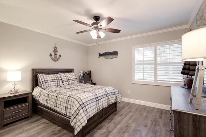 Building Photo - 283 Tradewinds Dr