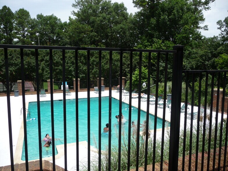 The swimming pool - 508 Patton Chapel Way
