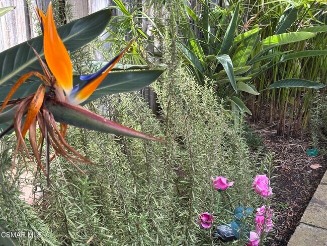 Building Photo - 3184 W Black Hills Ct