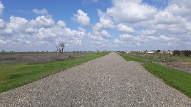 Building Photo - 3285 Falcon Ct