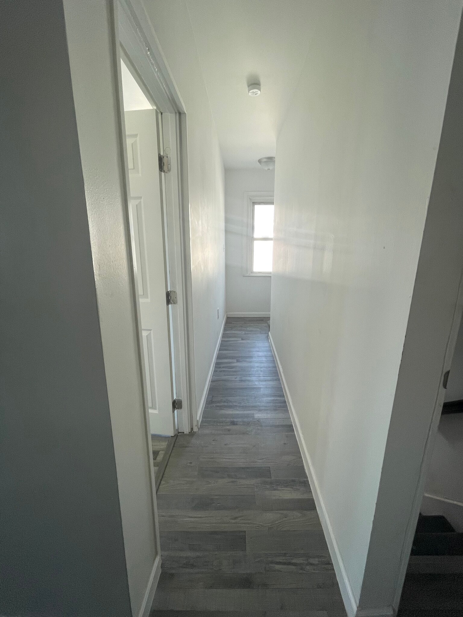 Unit Hallway - 446 Walnut St