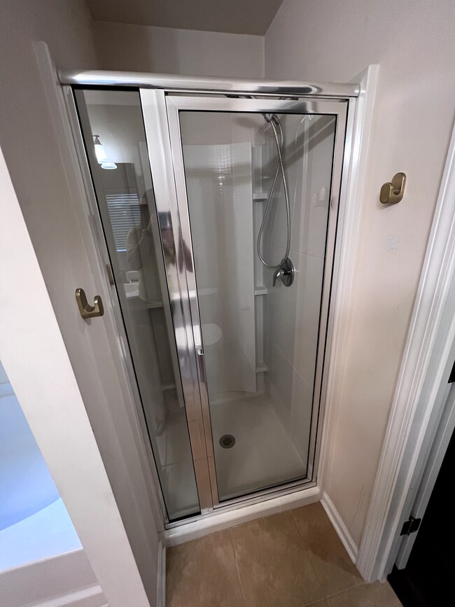 Master Shower - 5 Catawba Way