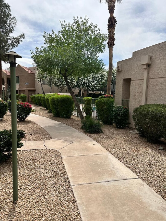 Building Photo - 1295 N Ash St