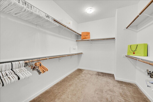 Building Photo - Luxury Summerlin West 4-Bedroom Home!