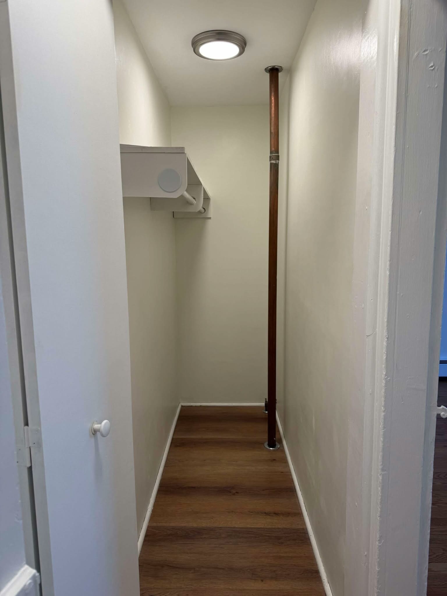 Walk-in Closet, skinny but deep - 344B W Patrick St