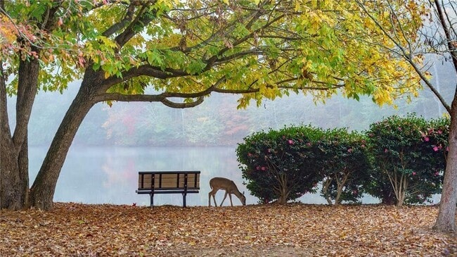 Building Photo - 435 Little Pines Ct