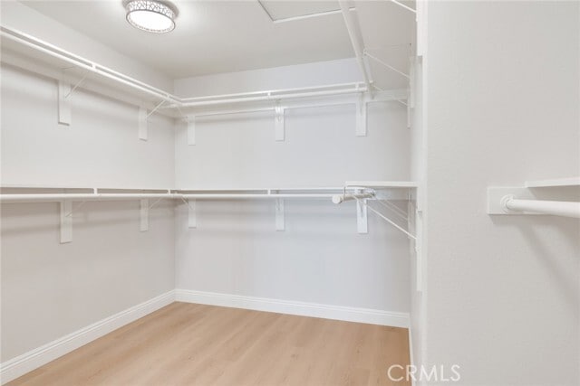 Building Photo - 12469 Sabrosa Ln