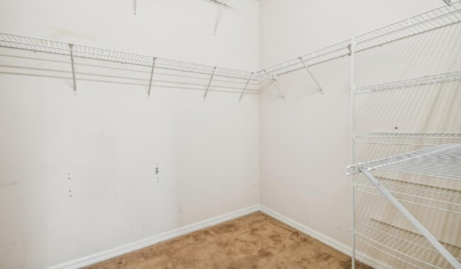 Building Photo - 2760 Suncoast Lakes Blvd