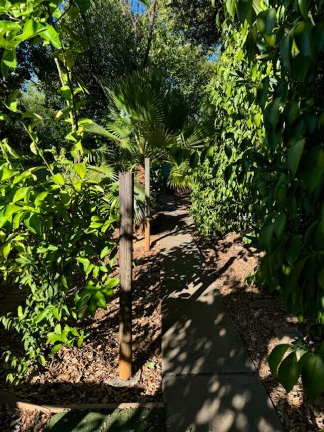 Building Photo - 3 Bedroom In Shasta View Neighborhood with...