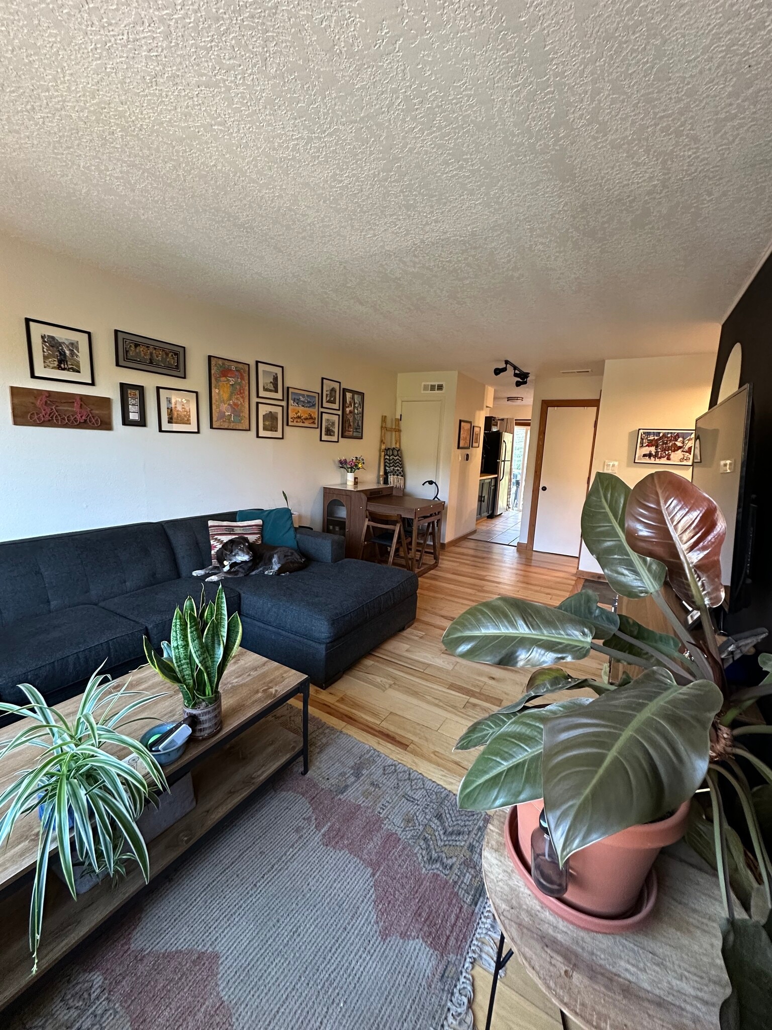 Building Photo - 2921 Richard Dr