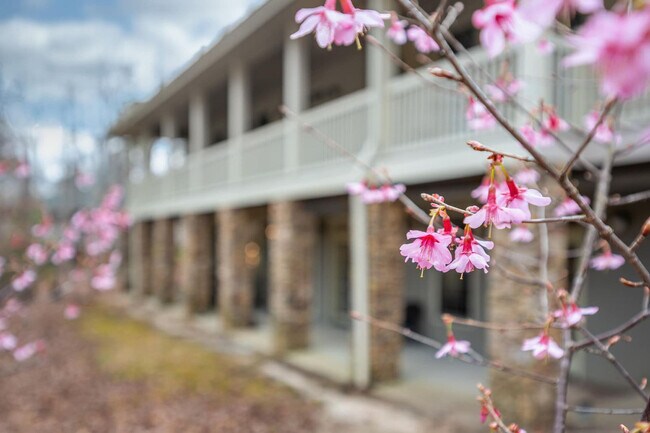 Building Photo - 11468 Club Dr