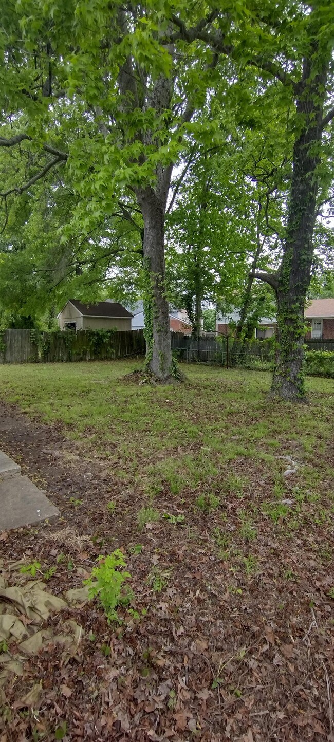 Building Photo - 1485 Morgan Dr