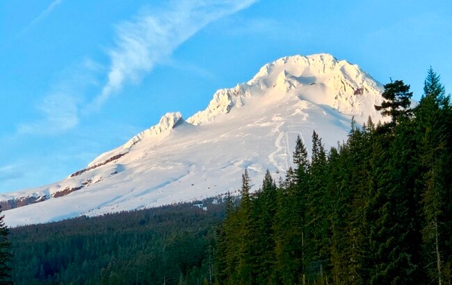 Building Photo - 17135 Beers Ave