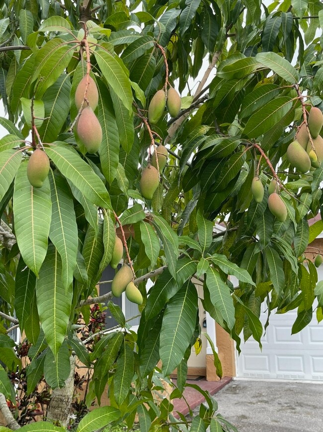 Building Photo - 11420 NW 35th St