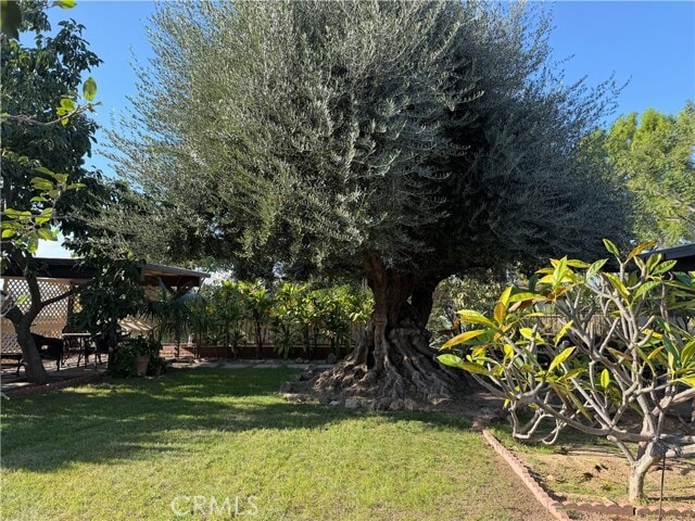 Building Photo - 3590 Buchanan St