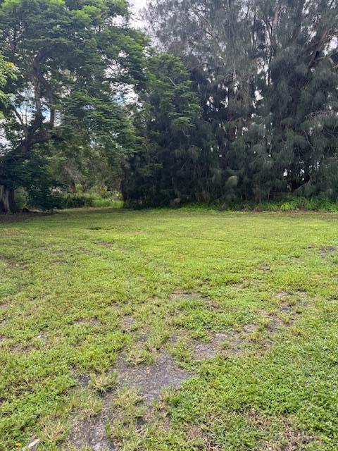 Building Photo - 1466 S Congress Ave