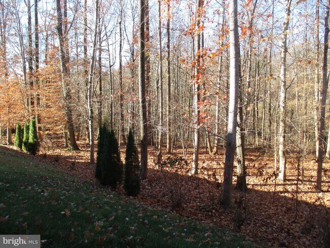 Building Photo - 7303A Hayfield Rd