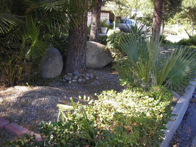 Garden in front - 835 N Rose Ave