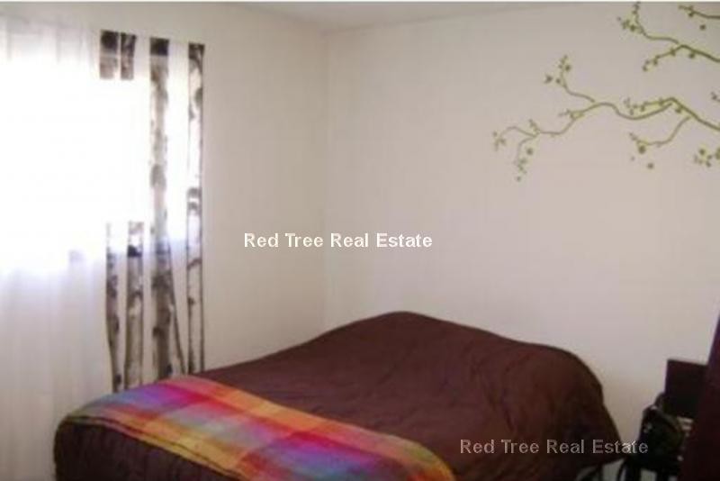 Building Photo - 245 Kelton St