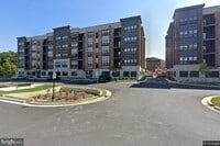 Building Photo - 3505 Bellflower Ln