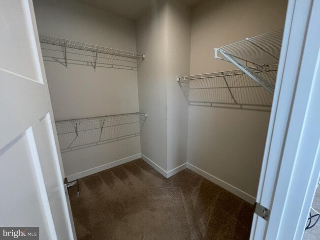 Building Photo - 8715 Shady Pines Dr