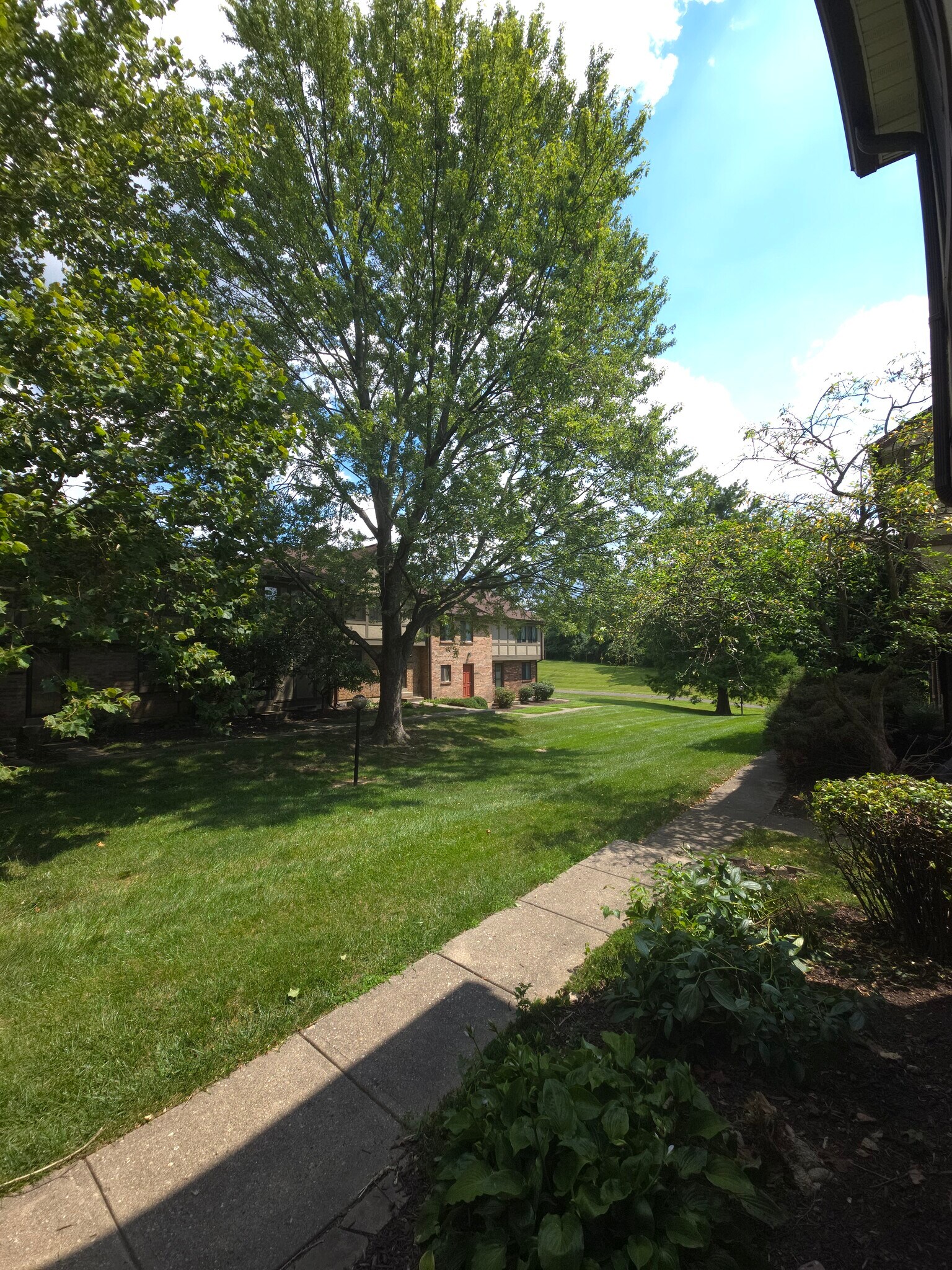 View of greenspace from front porch - 7618 Thames Ct