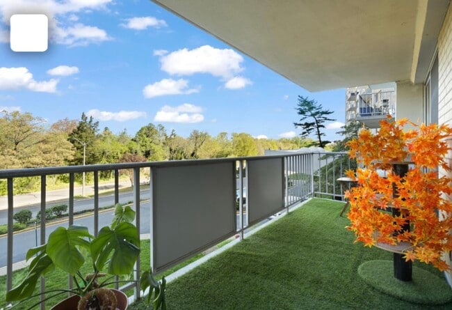 fabulous oversized outdoor patio overlooking the fountains - 301 N Beauregard St