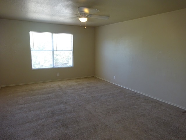 Building Photo - 3638 Candlehead Ln