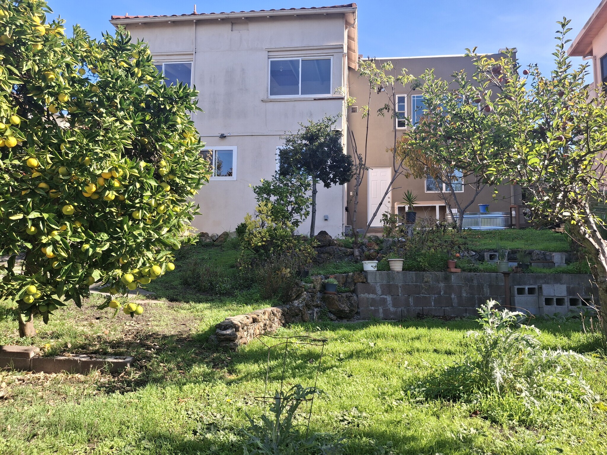 Building Photo - 1132 Sutter St