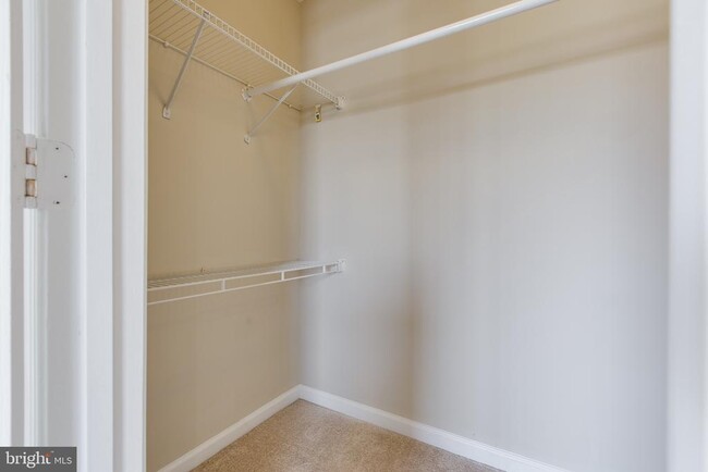 Building Photo - 3274 Halcyon Ct