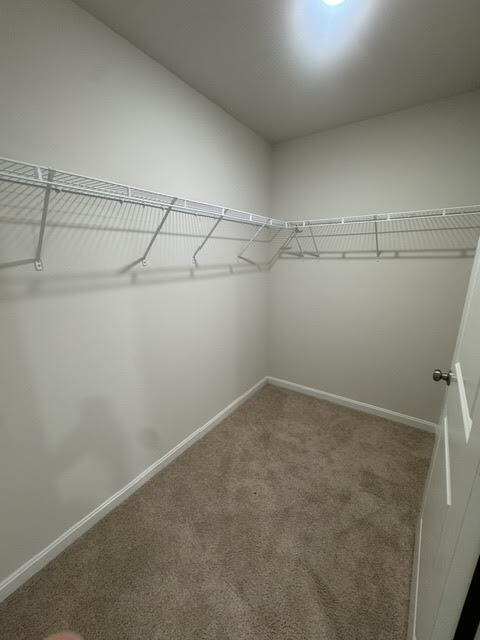 Building Photo - 118 Medley Wy