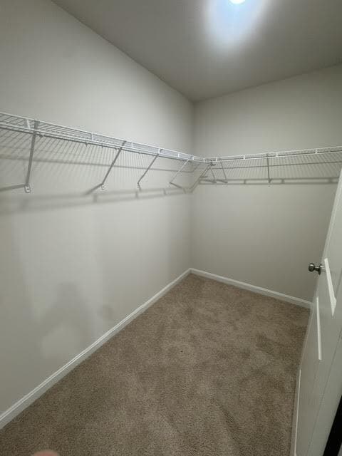 Building Photo - Spacious 5-Bedroom Home with Finished Basement on Corner Lot in Stephens City