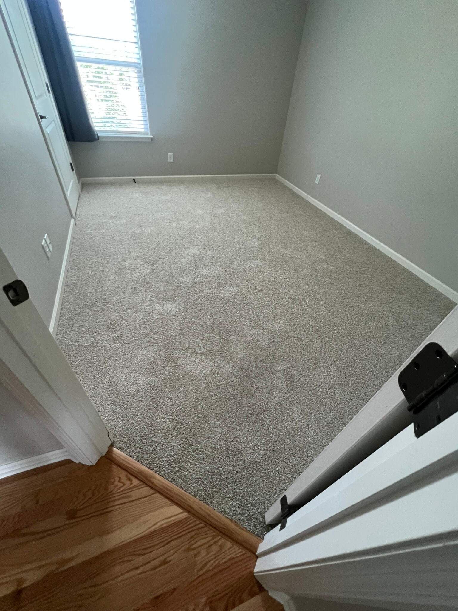 Bedroom 2 - 7506 Hampstead Hall Dr